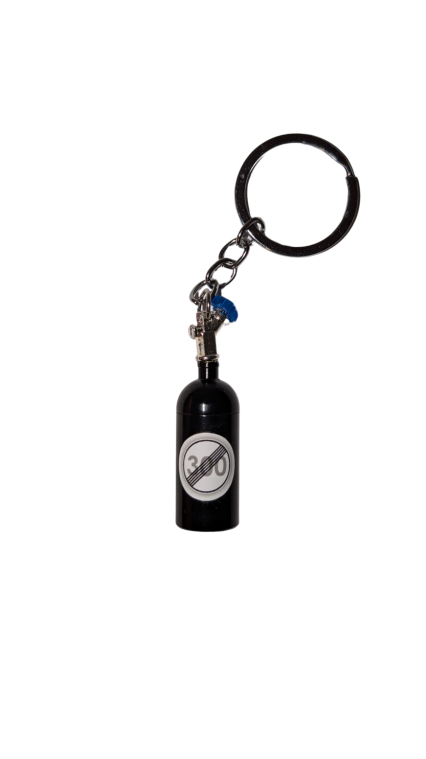 Autobahnswimmer Keychain