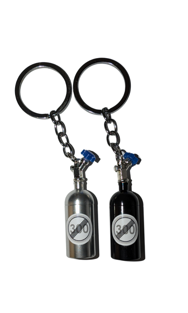 Autobahnswimmer Keychain